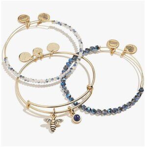 Alex and Ani Honey Bee Duo Charm Set of 3 Bangle Bracelet NWT